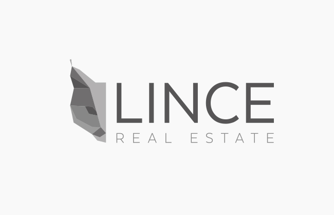 Lince Real Estate by Optimizing Concepts